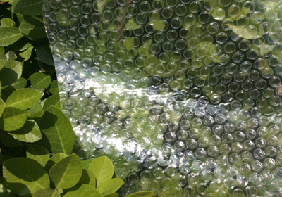 气泡膜片材